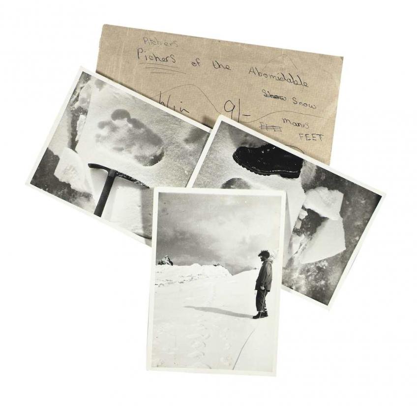 как выглядит снежный человек