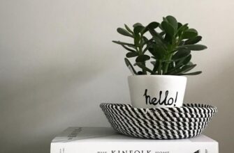 Цветок для вашего знака зодиака