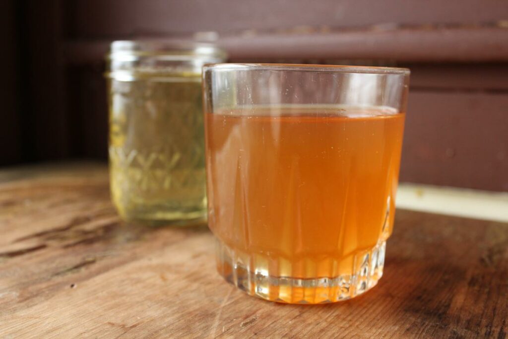 полезные свойства чайного гриба