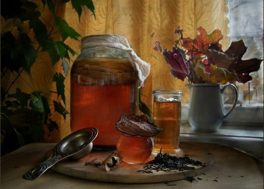 Как приготовить чайный гриб. Полезные свойства чайного гриба, противопоказания