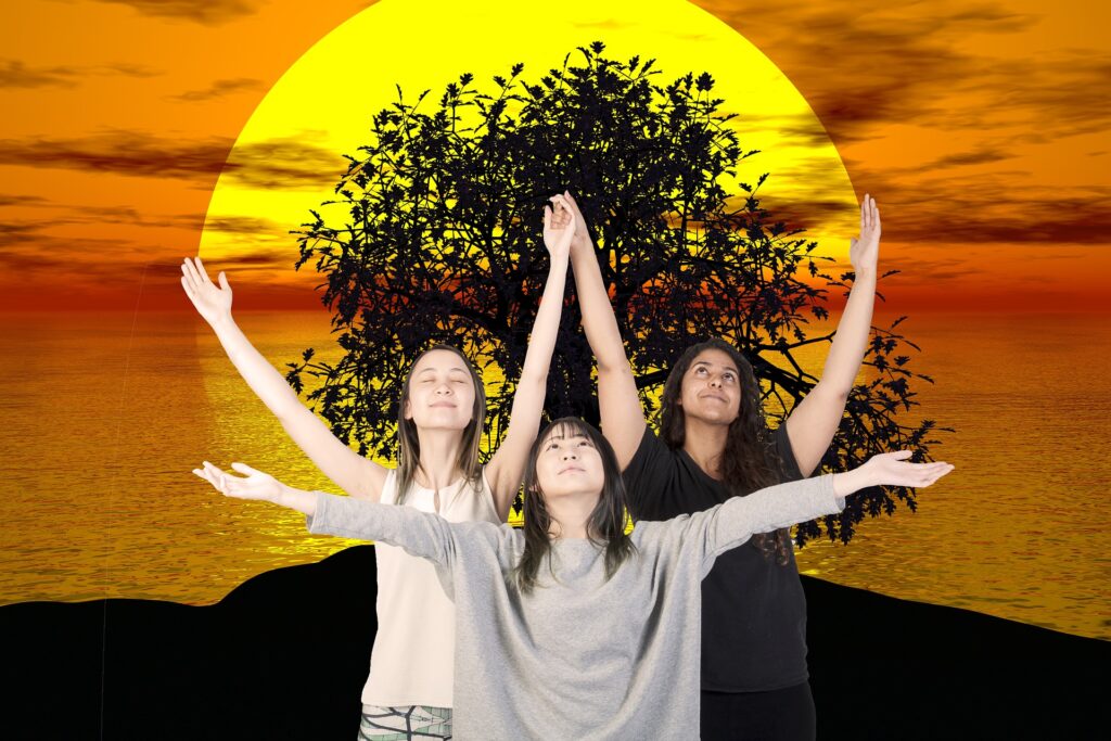 Все об аюрведе: что такое, история аюрведы, причины болезней, лечение по аюрведе