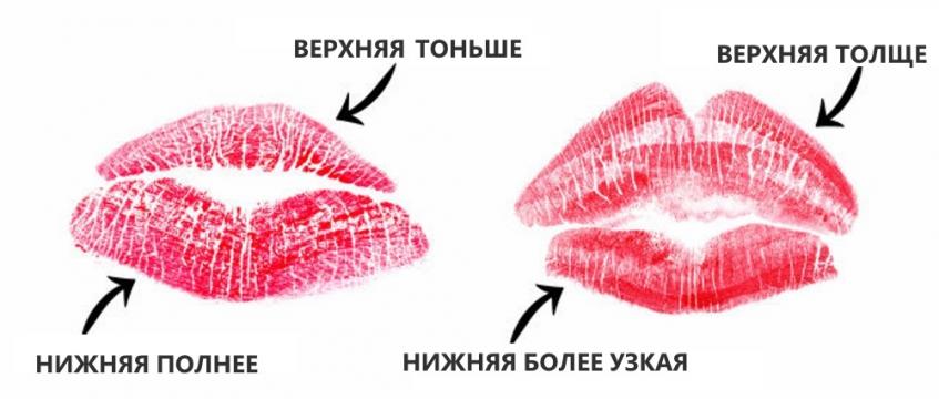 Характер человека по губам и их форме