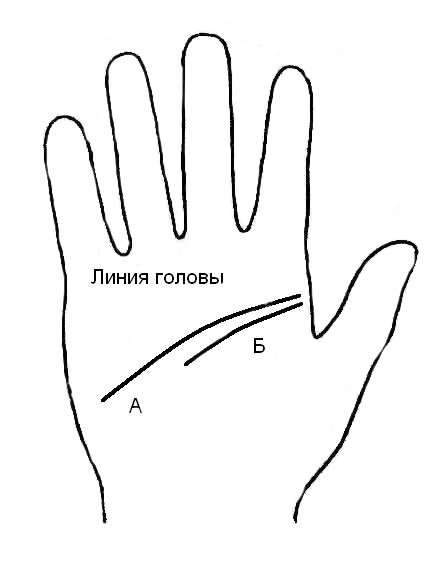 Хиромантия - загадки человеческой руки. Фото основных линий руки.