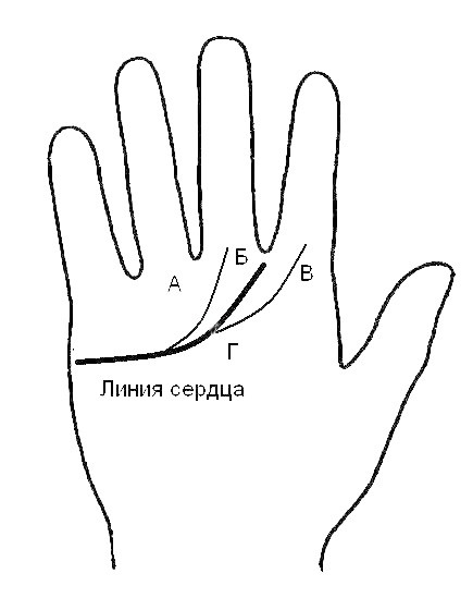 Хиромантия - загадки человеческой руки. Фото основных линий руки.