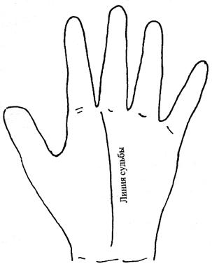 Хиромантия - загадки человеческой руки. Фото основных линий руки.