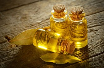 Лавровое масло в домашних условиях