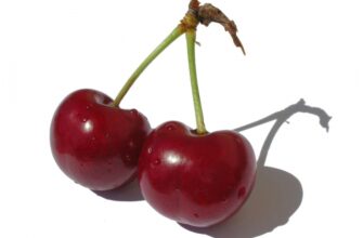 Суп из вишни с рисом