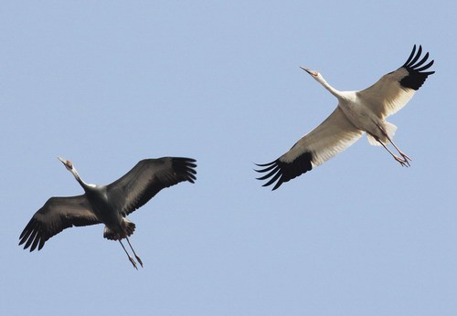 Тайные знаки Вселенной