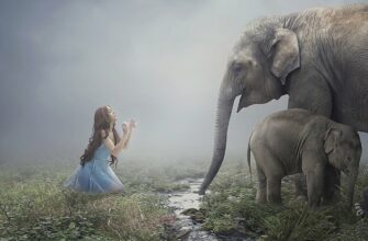 слон по фен-шуй