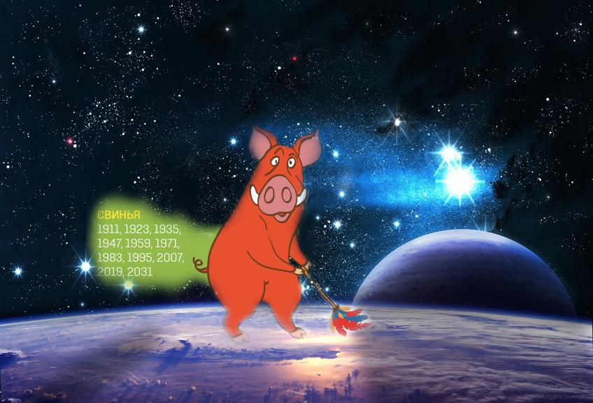 год свиньи 2019