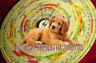 летящие звезды 2018