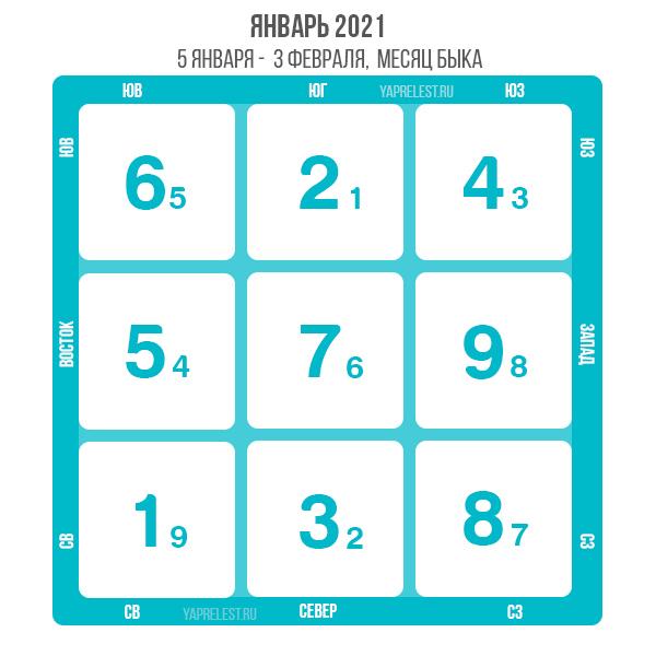 летящие звезды 2021