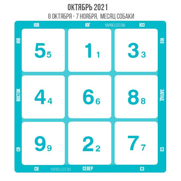 летящие звезды 2021