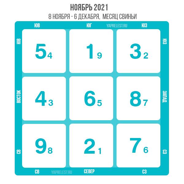 летящие звезды 2021