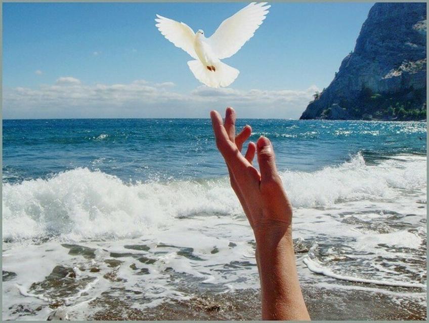 Лучшее впереди