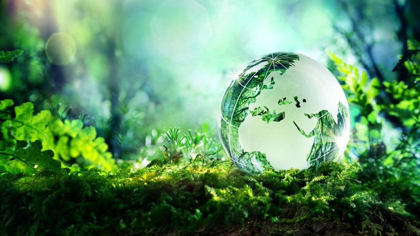 прогноз ба-цзы 2020