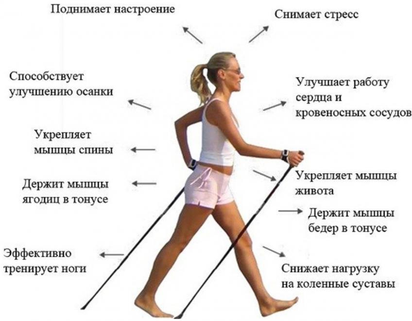 польза скандинавской ходьбы