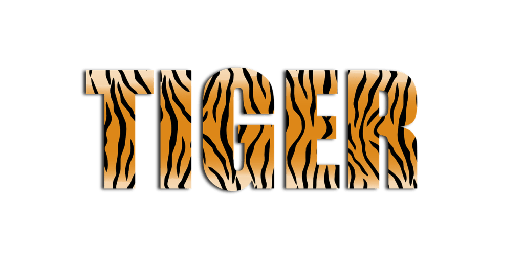 фен-шуй прогноз 2022