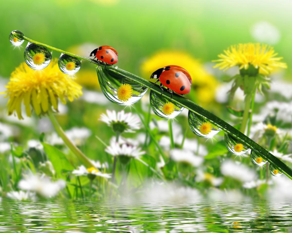 Мантра от катастроф и аварий